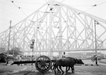 stories of Calcutta in 1960s
