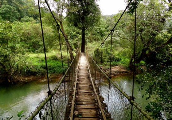 A thrilling walk across scary hanging bridges