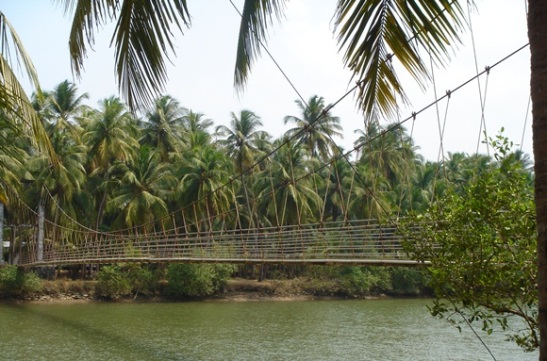 hanging bridge in Tonse Karnataka