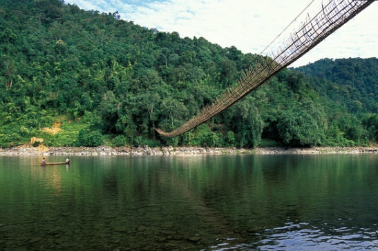 hanging bridges in arunachal pradesh, India travel adventure